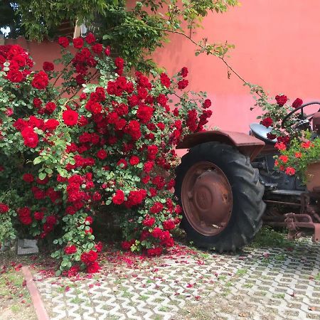 Agriturismo Mulino Bianco Lonato Dış mekan fotoğraf