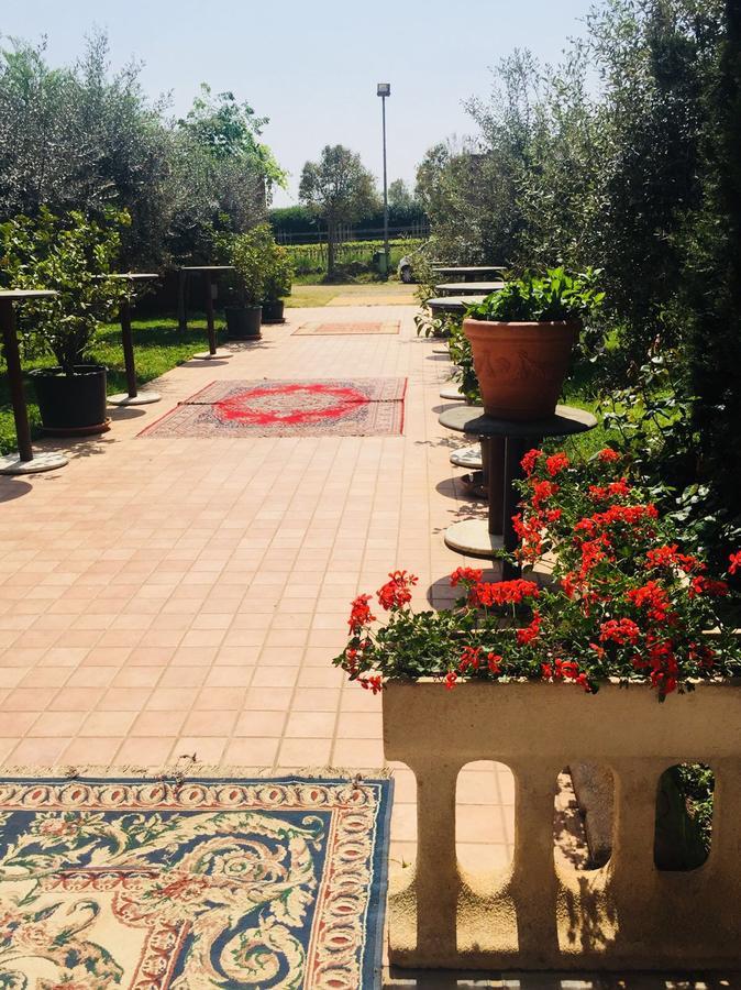 Agriturismo Mulino Bianco Lonato Dış mekan fotoğraf
