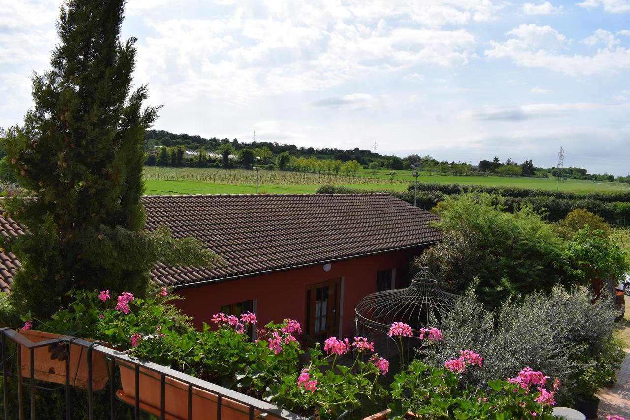 Agriturismo Mulino Bianco Lonato Dış mekan fotoğraf