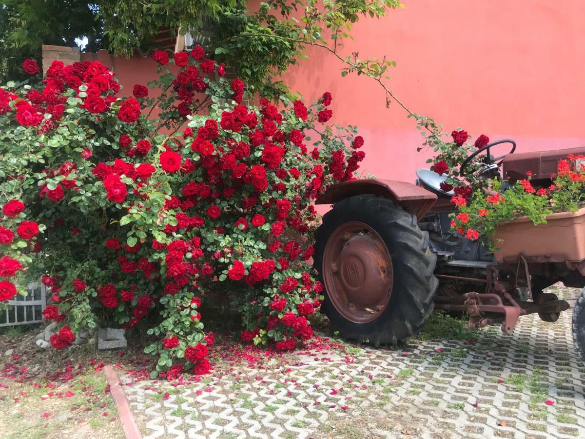 Agriturismo Mulino Bianco Lonato Dış mekan fotoğraf
